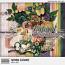 Natural Elegance Mini Kit by Aimee Harrison