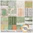 Beauty May Artsy & Solid Papers by Sekada Designs