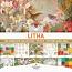 Wheel Of The Year Litha