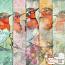 All the Pretty Birdies (seven)