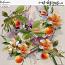 Valencia Clusters by et designs