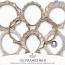 CU Frames No 9 Ornate Shell Frames