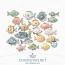 Curiosities No 1 Fish