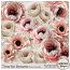 Time for Dreams Flower Overlays by Sekada Designs
