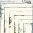 Whimsical Waters-Edges