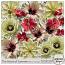 The Heart of Summer Flower Overlays by Sekada Designs