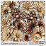 Closer to Nature Flower Overlays by Sekada Designs 
