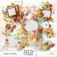 Shades of Autumn Clusters By NLD Designs
