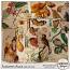 Autumn Aura Ephemera by Sekada Designs  