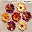CU Dried Flowers 6