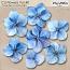 CU Flowers 40