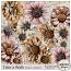 Take a Walk Flower Overlays by Sekada Designs