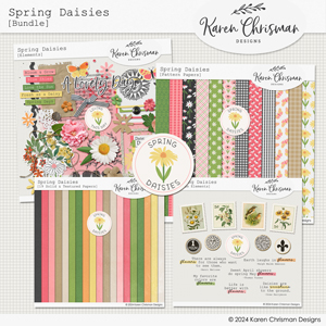 Spring Daisies Bundle by Karen Chrisman