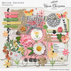 Spring Daisies Elements by Karen Chrisman