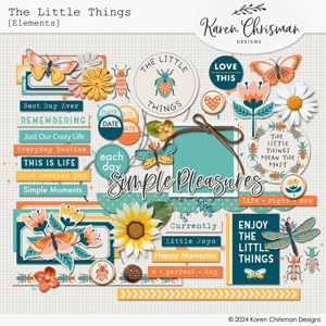 The Little Things Elements by Karen Chrisman