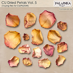 CU Dried Petals 5
