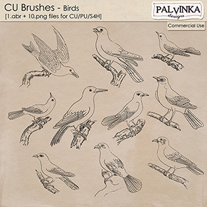 CU Brushes - Birds