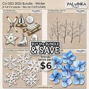 CU Bundle DSD 2025 - Winter