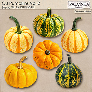 CU Pumpkins 2