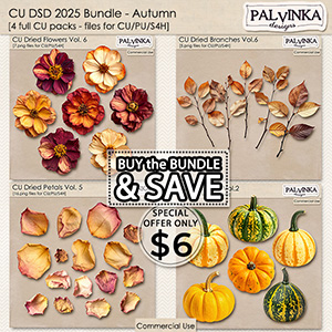 CU Bundle DSD 2025 - Autumn