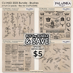 CU Bundle iNSD 2025 - Brushes