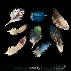 Feathers 2