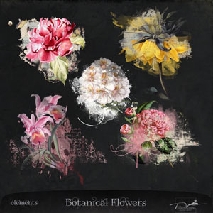 Botanical Flowers Digital Art Pack
