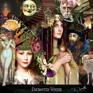 Enchanted Woods 