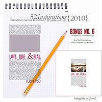 52 Inspirations :: 2010 {BONUS No. 6}