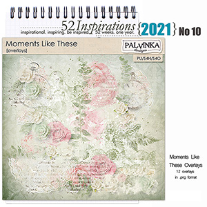 52 Inspirations 2021 No 10 Moments Like These Overlays by Palvinka