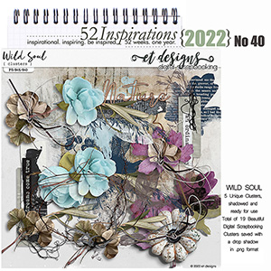 52 Inspirations 2022 No 40 Wild Soul Clusters by et designs