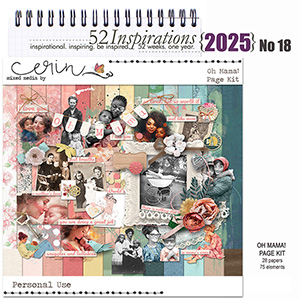 52 Inspirations 2025 No 18 Oh Mama by Mixed Media by Erin