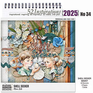 52 Inspirations 2025 no 34 Shell Seeker Mini Kit by Aimee Harrison