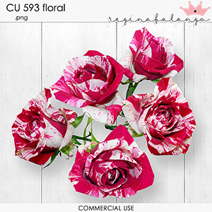 CU 593 FLORAL  