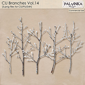 CU Branches 14