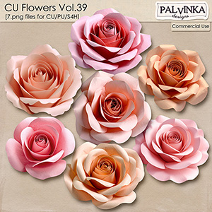CU Flowers 39