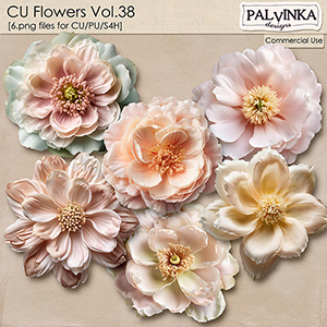 CU Flowers 38