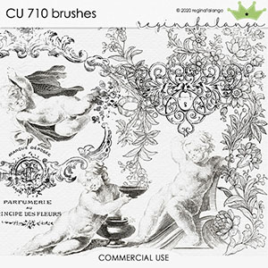 CU 710 BRUSHES 