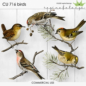 CU 716 BIRDS