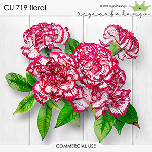 CU 719 FLORAL