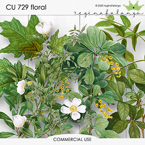 CU 729 FLORAL