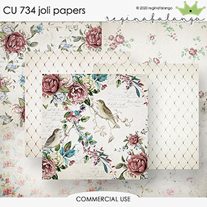 CU 734 JOLI PAPERS