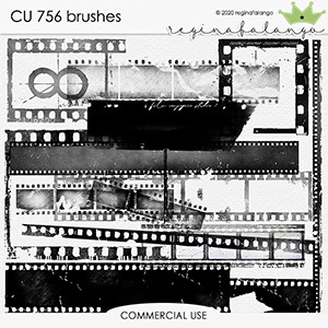 CU 756 BRUSHES