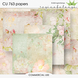 CU 763 PAPERS