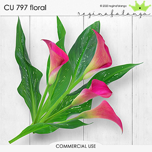 CU 797 FLORAL