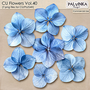 CU Flowers 40