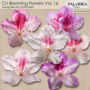 CU Blooming Flowers 16