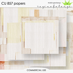 CU 857 PAPERS