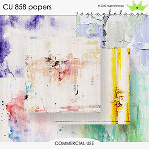 CU 858 PAPERS 