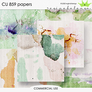 CU 859 PAPERS